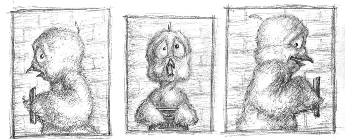 Detail of sketches of Chicken Licken posing for mugshots